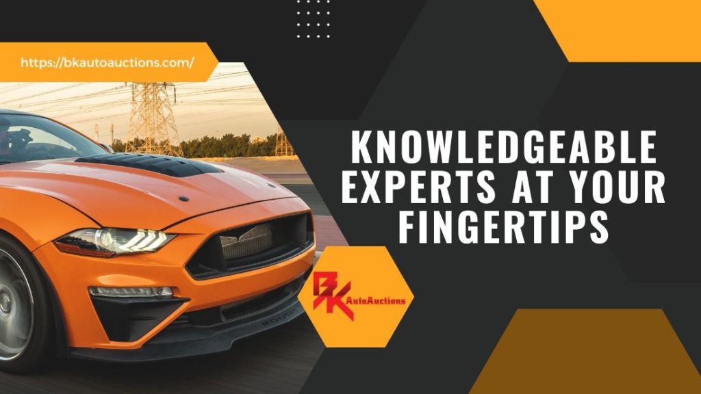 Elevate Your Auto Auction Experience